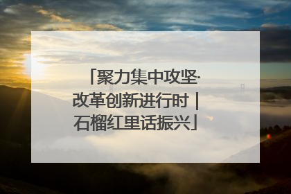 聚力集中攻坚·改革创新进行时｜石榴红里话振兴