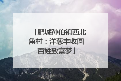 肥城孙伯镇西北角村:洋葱丰收圆百姓致富梦
