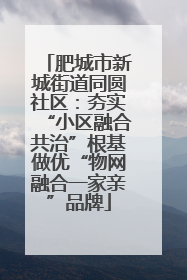 肥城市新城街道同圆社区：夯实“小区融合共治”根基做优“物网融合一家亲”品牌