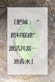 肥城：“跨村联建”激活共富一池春水
