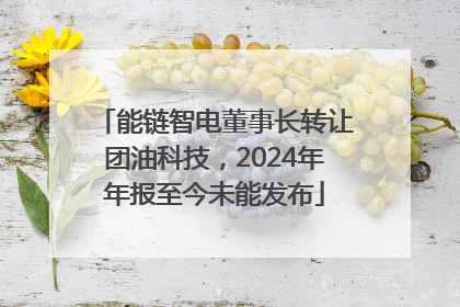 能链智电董事长转让团油科技，2024年年报至今未能发布