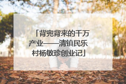 背兜背来的千万产业——清镇民乐村杨敏珍创业记