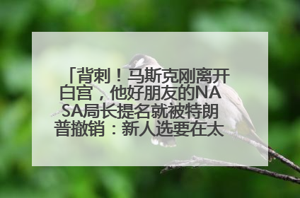 背刺！马斯克刚离开白宫，他好朋友的NASA局长提名就被特朗普撤销：新人选要在太空实现“美国优先”