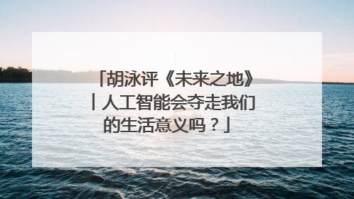 胡泳评《未来之地》︱人工智能会夺走我们的生活意义吗？