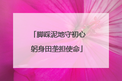 脚踩泥地守初心 躬身田垄担使命