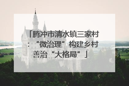 腾冲市清水镇三家村：“微治理”构建乡村善治“大格局”
