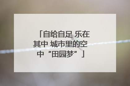 自给自足 乐在其中 城市里的空中“田园梦”