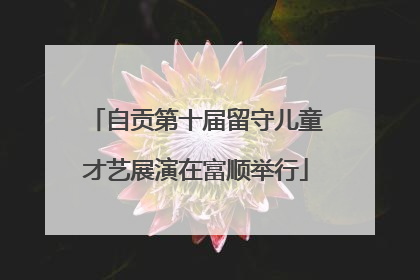 自贡第十届留守儿童才艺展演在富顺举行