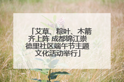 艾草、粽叶、木箭齐上阵 成都锦江崇德里社区端午节主题文化活动举行