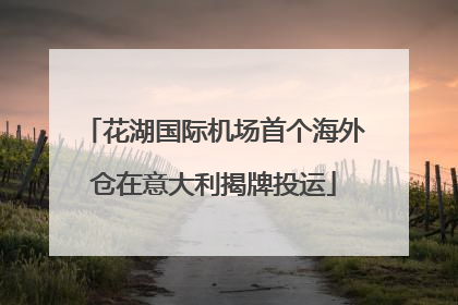 花湖国际机场首个海外仓在意大利揭牌投运
