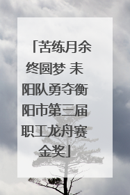 苦练月余终圆梦 耒阳队勇夺衡阳市第三届职工龙舟赛金奖