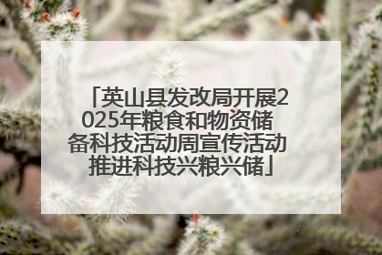 英山县发改局开展2025年粮食和物资储备科技活动周宣传活动 推进科技兴粮兴储