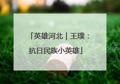 英雄河北｜王璞：抗日民族小英雄
