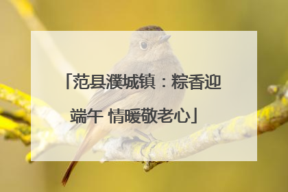 范县濮城镇：粽香迎端午 情暖敬老心