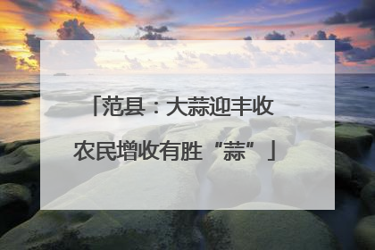 范县：大蒜迎丰收 农民增收有胜“蒜”
