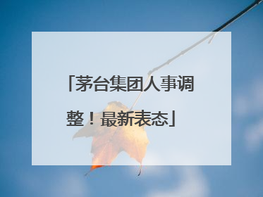 茅台集团人事调整！最新表态