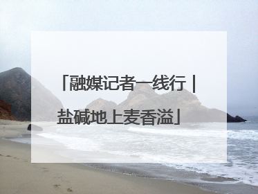 融媒记者一线行｜盐碱地上麦香溢