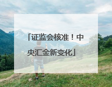 证监会核准！中央汇金新变化
