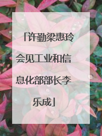 许勤梁惠玲会见工业和信息化部部长李乐成
