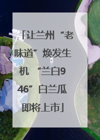 让兰州“老味道”焕发生机 “兰白946”白兰瓜即将上市