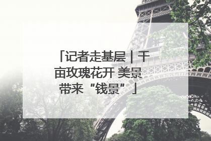 记者走基层｜千亩玫瑰花开 美景带来“钱景”