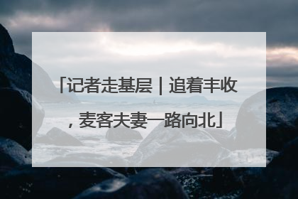记者走基层｜追着丰收，麦客夫妻一路向北