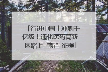 行进中国丨冲刺千亿级！通化医药高新区踏上“新”征程