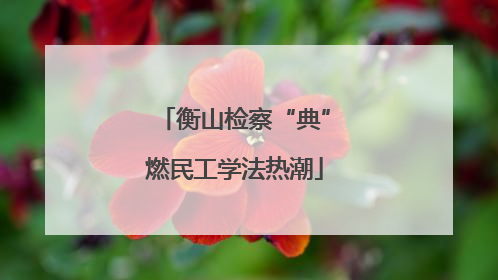 衡山检察“典”燃民工学法热潮