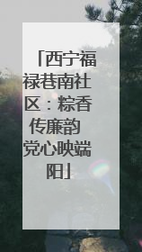 西宁福禄巷南社区：粽香传廉韵 党心映端阳
