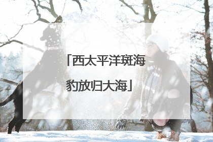 西太平洋斑海豹放归大海