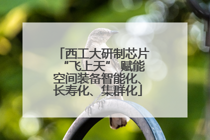 西工大研制芯片“飞上天” 赋能空间装备智能化、长寿化、集群化