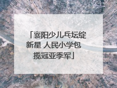 襄阳少儿乓坛绽新星 人民小学包揽冠亚季军