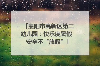 襄阳市高新区第二幼儿园：快乐度暑假 安全不“放假”