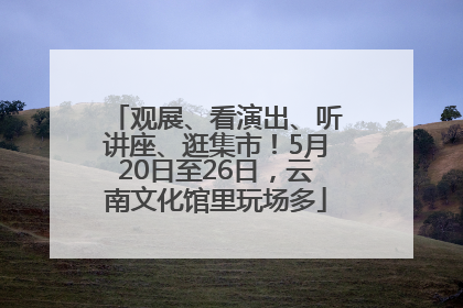 观展、看演出、听讲座、逛集市！5月20日至26日，云南文化馆里玩场多