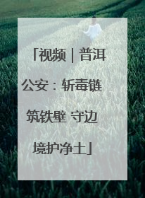 视频｜普洱公安：斩毒链筑铁壁 守边境护净土