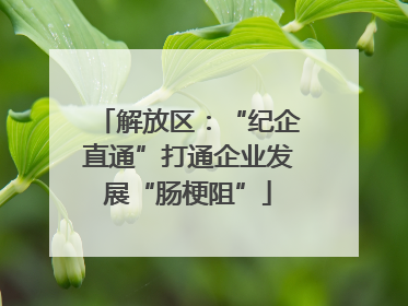 解放区：“纪企直通”打通企业发展“肠梗阻”