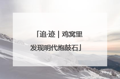 追·迹｜鸡窝里发现明代抱鼓石