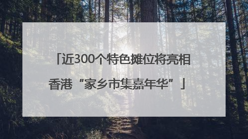 近300个特色摊位将亮相香港“家乡市集嘉年华”