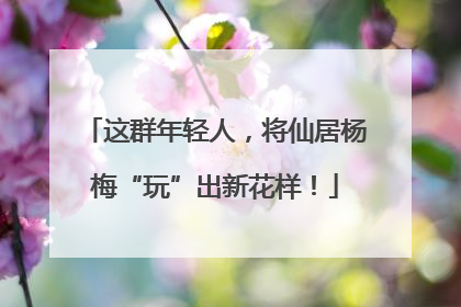 这群年轻人，将仙居杨梅“玩”出新花样！