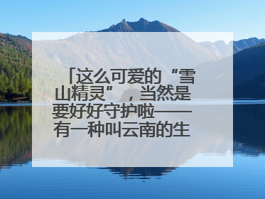 这么可爱的“雪山精灵”，当然是要好好守护啦——有一种叫云南的生活之365天