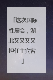 这次国际性展会，湖北又又又又担任主宾省