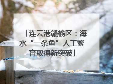 连云港赣榆区：海水“一条鱼”人工繁育取得新突破