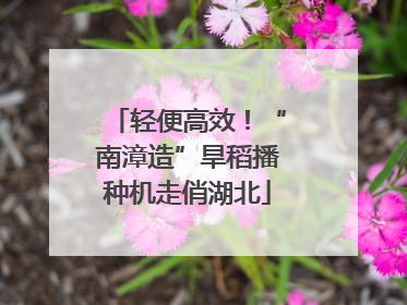 轻便高效！“南漳造”旱稻播种机走俏湖北