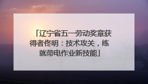 辽宁省五一劳动奖章获得者佟明：技术攻关，练就带电作业新技能