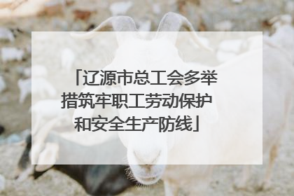 辽源市总工会多举措筑牢职工劳动保护和安全生产防线