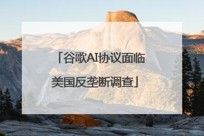 谷歌AI协议面临美国反垄断调查