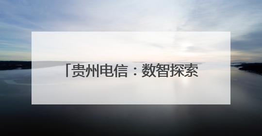 贵州电信：数智探索新路 科技智造农景