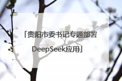 贵阳市委书记专题部署DeepSeek应用