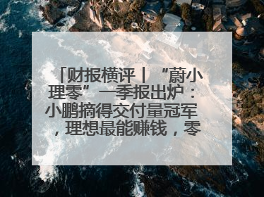 财报横评丨“蔚小理零”一季报出炉：小鹏摘得交付量冠军，理想最能赚钱，零跑迎头赶上，蔚来还在调整