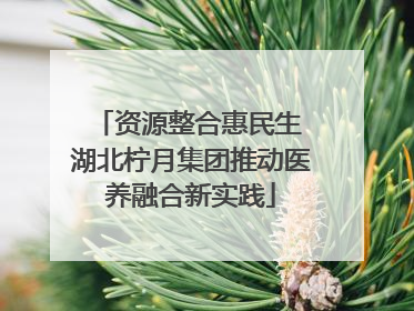 资源整合惠民生 湖北柠月集团推动医养融合新实践